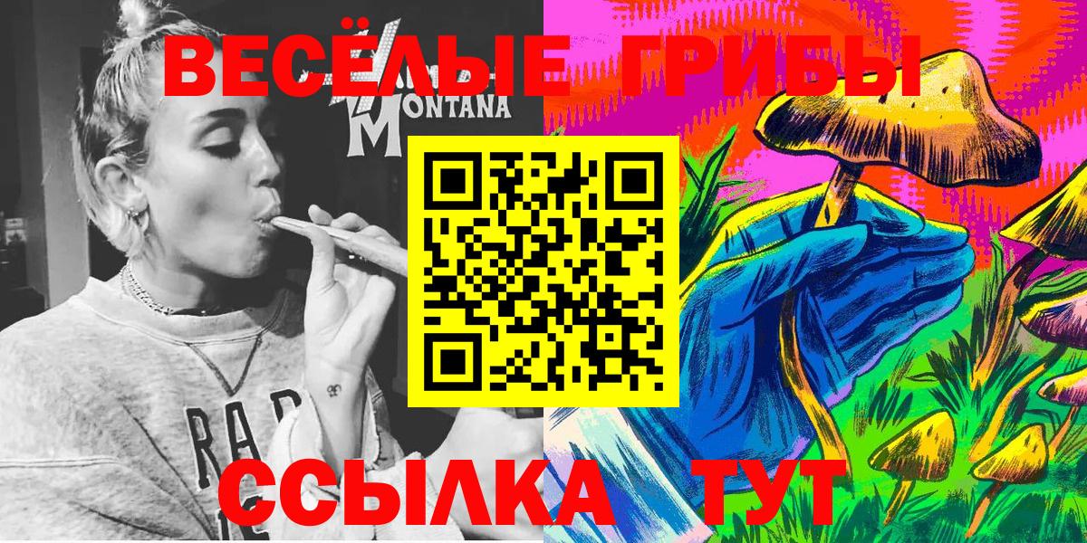 Галлюциногенные грибы мухоморы Кинель