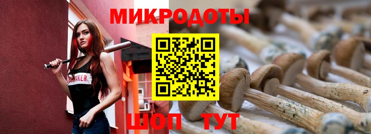 Псилоцибиновые грибы мицелий  Вход с VPN  Кинель  Галлюциногенные грибы Magic Shrooms 